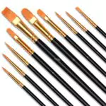 Vicloon Pennelli da Pittura, 10 Pezzi Pennelli per Dipingere di Nylon