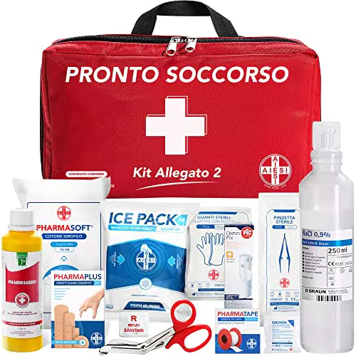 AIESI Cassetta medica di pronto soccorso Conforme DM388/DL81