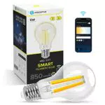 Aigostar Lampadine Smart WiFi E27 Alexa Lampadine Vintage A60 6W Edison Lampadina WiFi Dimmerabile 2700K-6500K