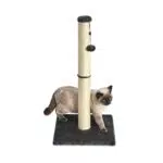 Amazon Basics - Palo tiragraffi per gatti, medio, 40.01 x 40.01 x 80.01 cm