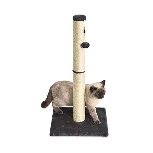 Amazon Basics - Palo tiragraffi per gatti, medio, 40.01 x 40.01 x 80.01 cm