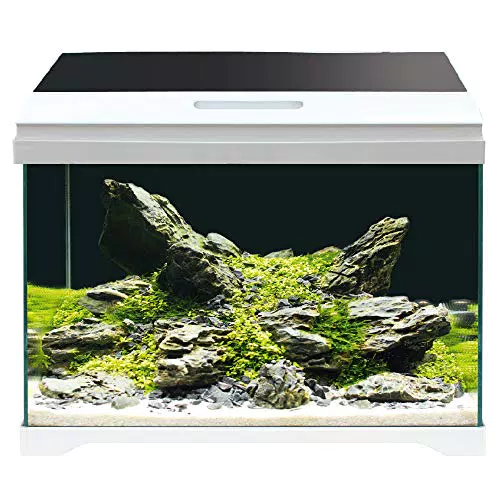 Acquario completo di illuminazione LED e filtro interno