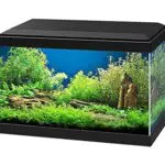 ASKOLL Acquario 40x20x31 con led e filtro 17 litri