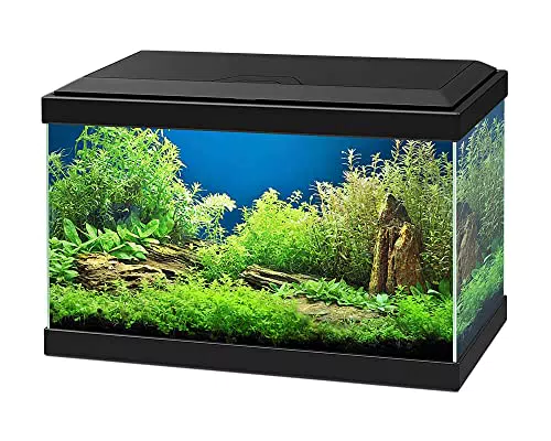 ASKOLL Acquario 40x20x31 con led e filtro 17 litri