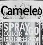 Cameleo - SPRAY & GO - Risciacquo spray per capelli - Nebbia Argento - Per capelli biondi