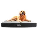 Emma Essentials Ortopedico Letto per Cani Taglia M, Lavabile