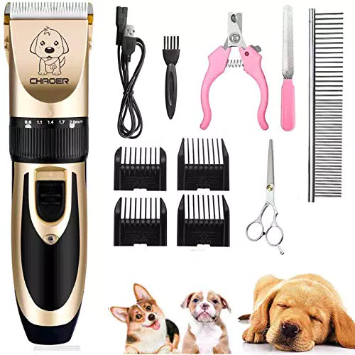 Eyeleaf Tosatrice per Cani Professionale, Tosatrice per Gatti Pelo Lungo Ricaricabile con Toelettatura Accessori Cavo USB Strumento di Pulizia Oro