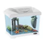 Ferplast Capri Junior Acquario in plastica, 21 L, colore: Bianco