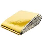 Gisinti Coperta Emergenza 1 Pezzo Telo Isotermico 210x160, Oro Argento, 1 Pezzo