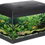 Haquoss, Evolution 40 Acquario 40X25X34H cm, 21 Litri con Luce a LED