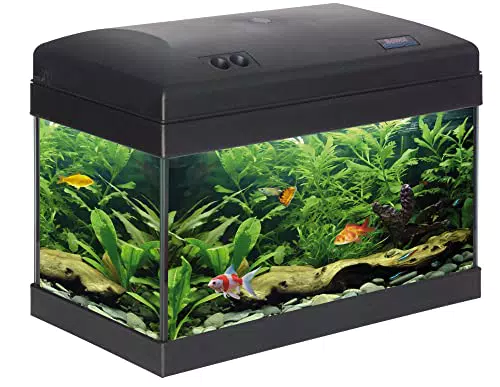 Haquoss, Evolution 40 Acquario 40X25X34H cm, 21 Litri con Luce a LED