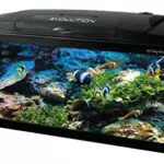 Haquoss Evolution 80 Acquario 80X30X49H cm, 82 Litri