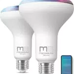 Lampadine LED Smart WiFi E27
