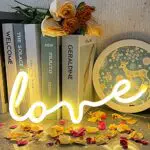 Insegna al Neon love