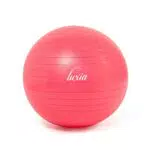 Luxia Fitball 65 cm Palla Fitness per Pilates, Yoga