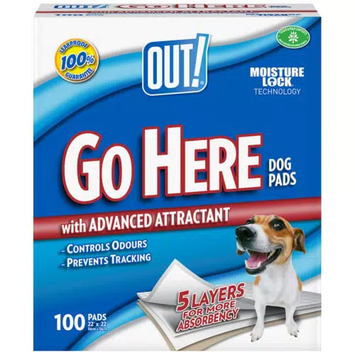 OUT! Vai qui assorbenti pad da addestramento per cani e cuccioli, confezione da 100