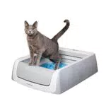 PetSafe ScoopFree, lettiera autopulente per gatti