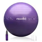 PROIRON Palla Fitness 55cm con Pompa di gonfiaggio, Viola
