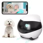 Telecamera per animali domestici di sicurezza per interni