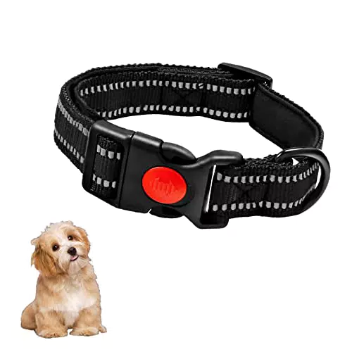 TOHDNC Collare Riflettente in Nylon per Cani con Fibbia di Bloccaggio di Sicurezza