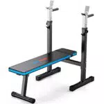 WINNOW Panca Pesi Regolabile con Stazione Dip Panca per Sollevamento Pesi Pieghevole Robusto Palestra per Allenamento Domestico Panca di Allenamento Multiuso