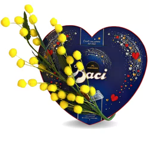Baci Perugina Confezione Regalo con Ramo Di Mimose Artificiali