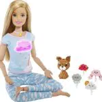 Barbie Playset, Colore Vario, GNK01