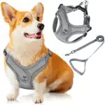 Coolzon Pettorina per Cani con 4 Fibbie Regolabili, Pettorine per Gilet Anti-Tiro in Rete Traspirante con Striscia Riflettente, M