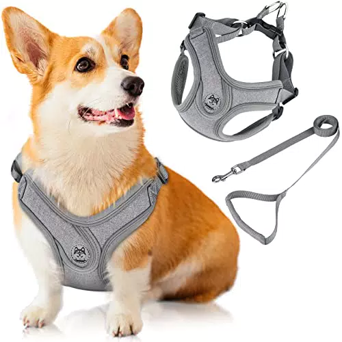 Coolzon Pettorina per Cani con 4 Fibbie Regolabili, Pettorine per Gilet Anti-Tiro in Rete Traspirante con Striscia Riflettente, M