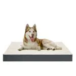 Dohump Cuscino per Cani Grande/Medio/Piccolo, Materasso per Cani Ortopedico