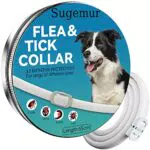 Sugemur Collare Antipulci Cane, Collare Antiparassitario Per Cani Efficiente