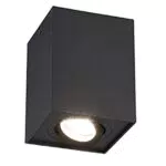 TRIO Leuchten Biscuit 613000132 - Plafoniera in metallo nero opaco