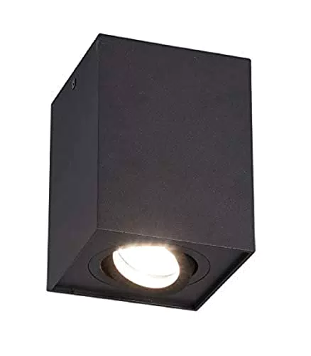 TRIO Leuchten Biscuit 613000132 - Plafoniera in metallo nero opaco