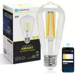 Aigostar Lampadine Smart WiFi E27, trasparente