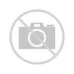 BOSCH 1413127072 Diesel RIC