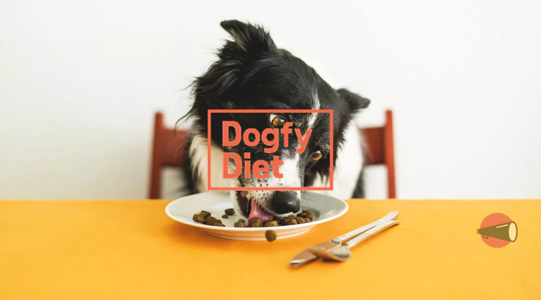 Offerte e Codici Sconto Dogfy Diet