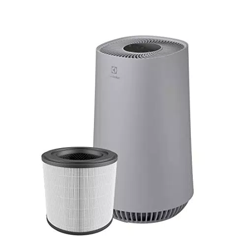 Electrolux FA31-201GY Purificatore d'Aria fisso, grigio chiaro