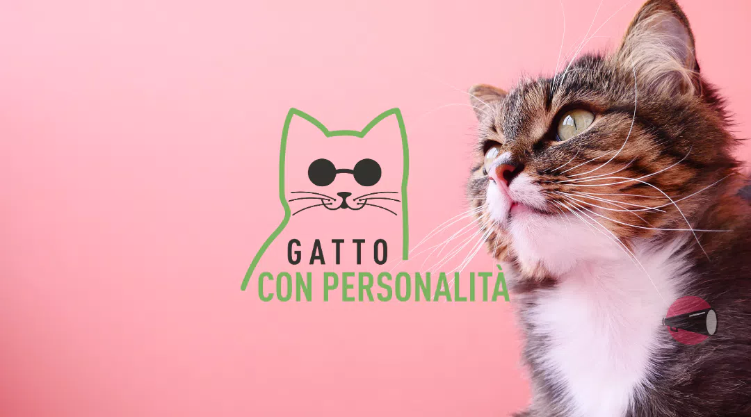Offerte e Codici Sconto Gatto con Personalità