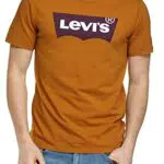 Levi's Maglietta Graphic Crewneck, T-shirt Uomo, Bw Color Extension Cathay Spice
