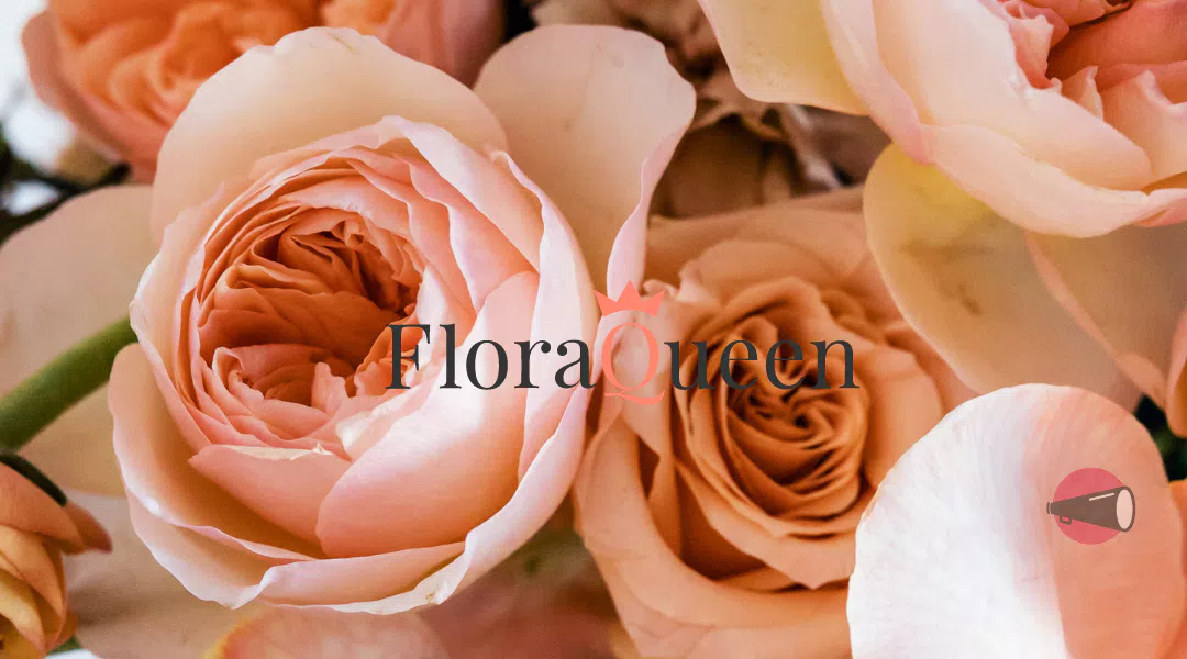 Scopri su ScontoMio le migliori offerte FloraQueen e acquista online. Trova i migliori coupon e offerte in corso