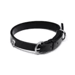 Pandora Collar para mascotas 312262C01-M acero