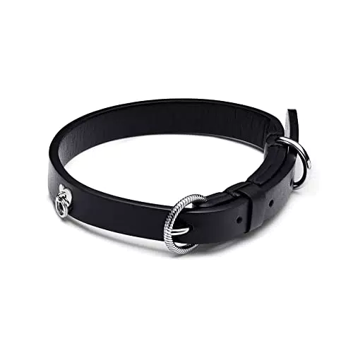 Pandora Collar para mascotas 312262C01-M acero