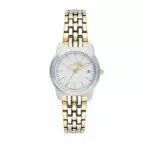 Philip Watch Watch R8253495501