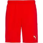 Puma Pantaloncini da Uomo