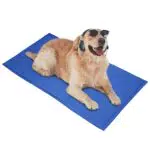 HAPPY HACHI Tappetino Refrigerante per Cani Gatti, Pieghevole Tappeto Refrigerante Cani Cane
