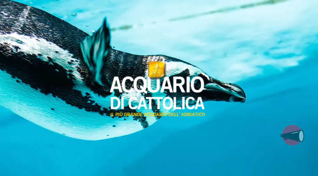 Offerte e Sconti Esclusivi per l'Acquario di Cattolica su ScontoMio