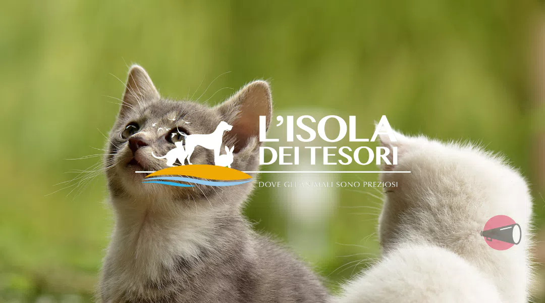Codici Sconto e promozioni Isola dei Tesori