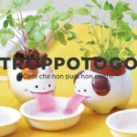 Pre Saldi Natale su TroppoTogo: -20% di sconto su tutto