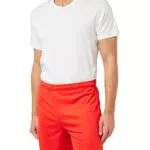 Puma Teamgoal 23 Knit, Pantaloncini Uomo, Rosso, M