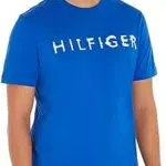 Tommy Hilfiger Hilfiger Ink Tee Magliette S/S, Ultra Blue